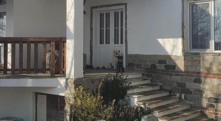 The White House Villa Kamilski Dol Exterior photo
